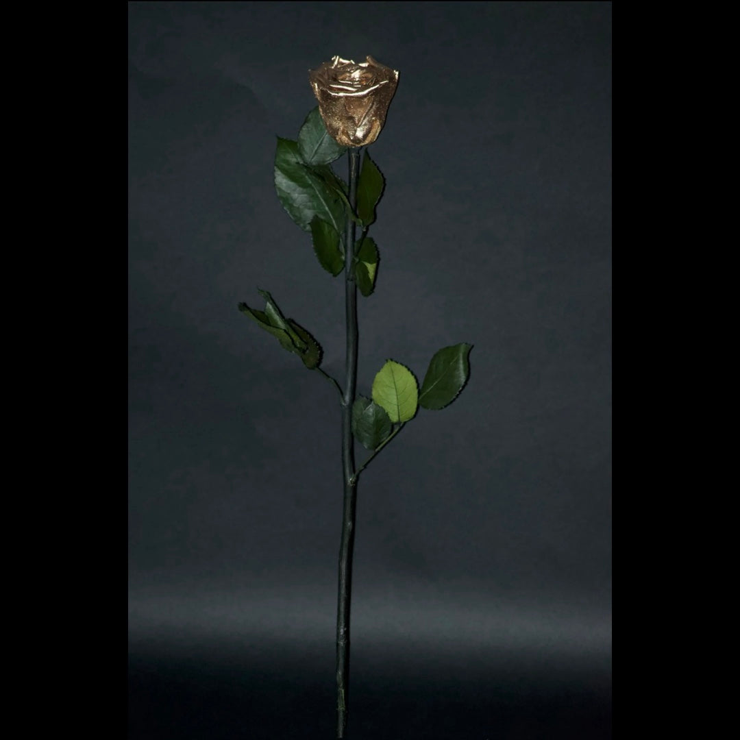 Single Stem Forever Roses