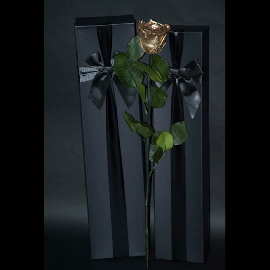 Single Stem Forever Roses