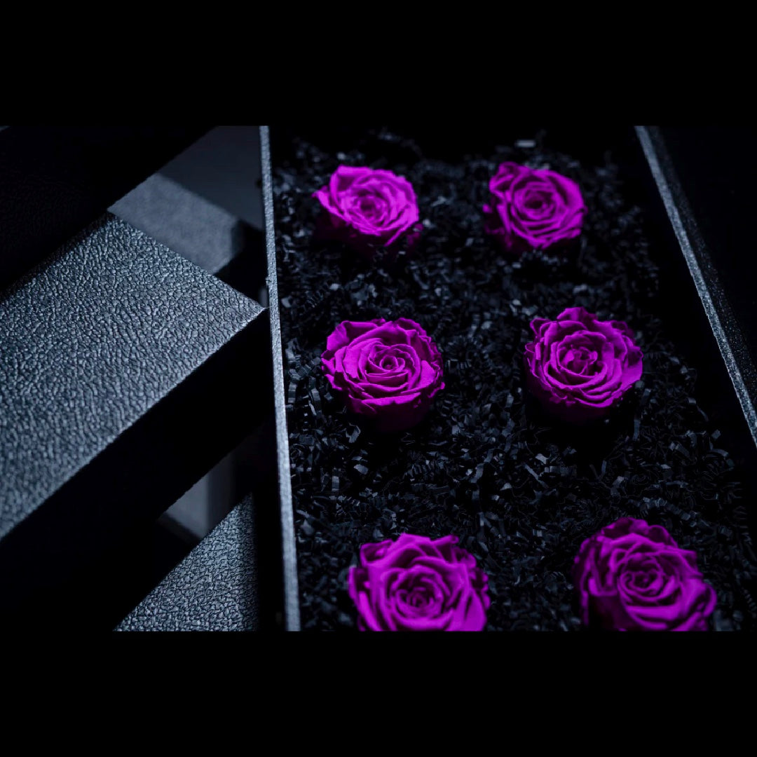 PURPLE FOREVER ROSES