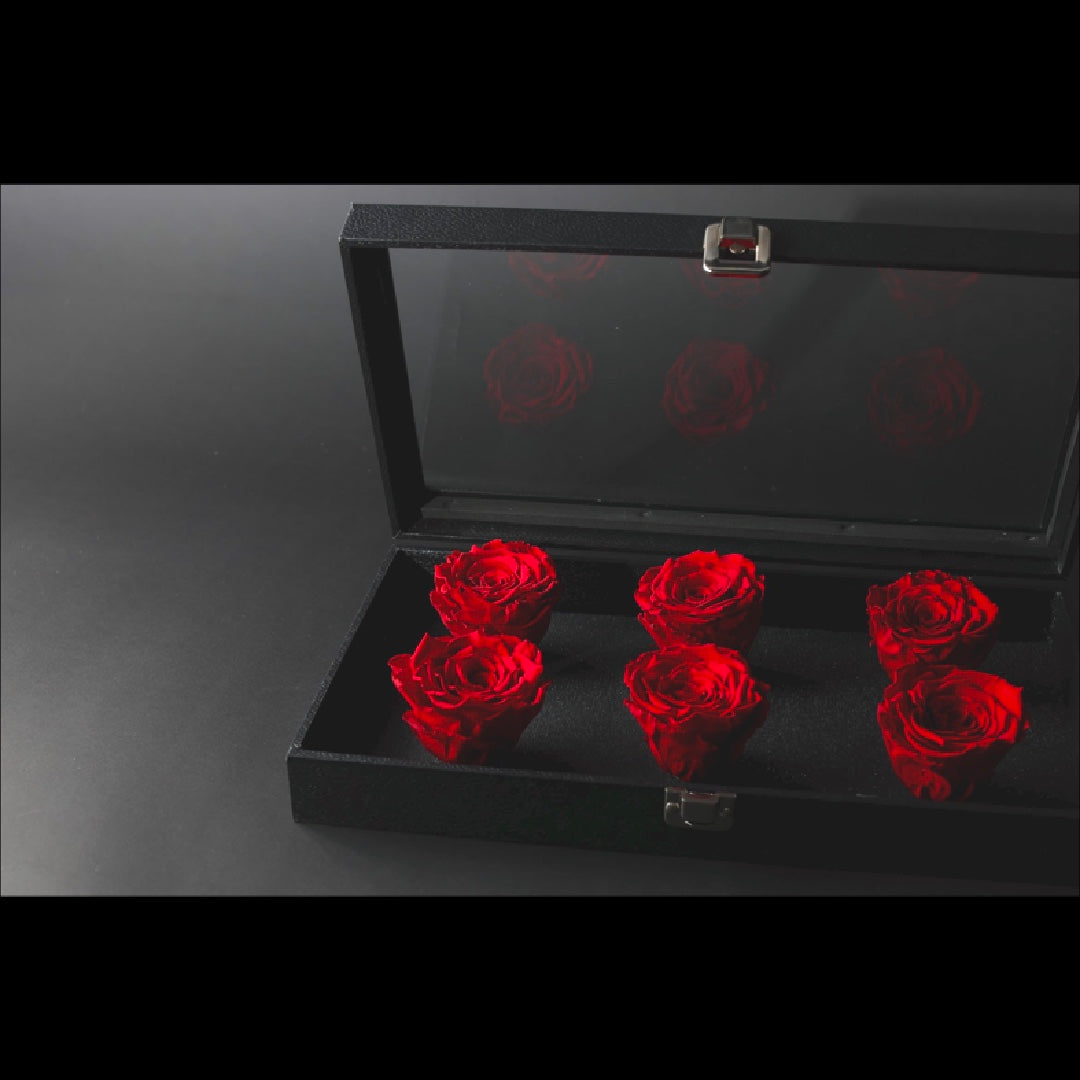 Glass Top Floral Box - PRESERVED ROSES