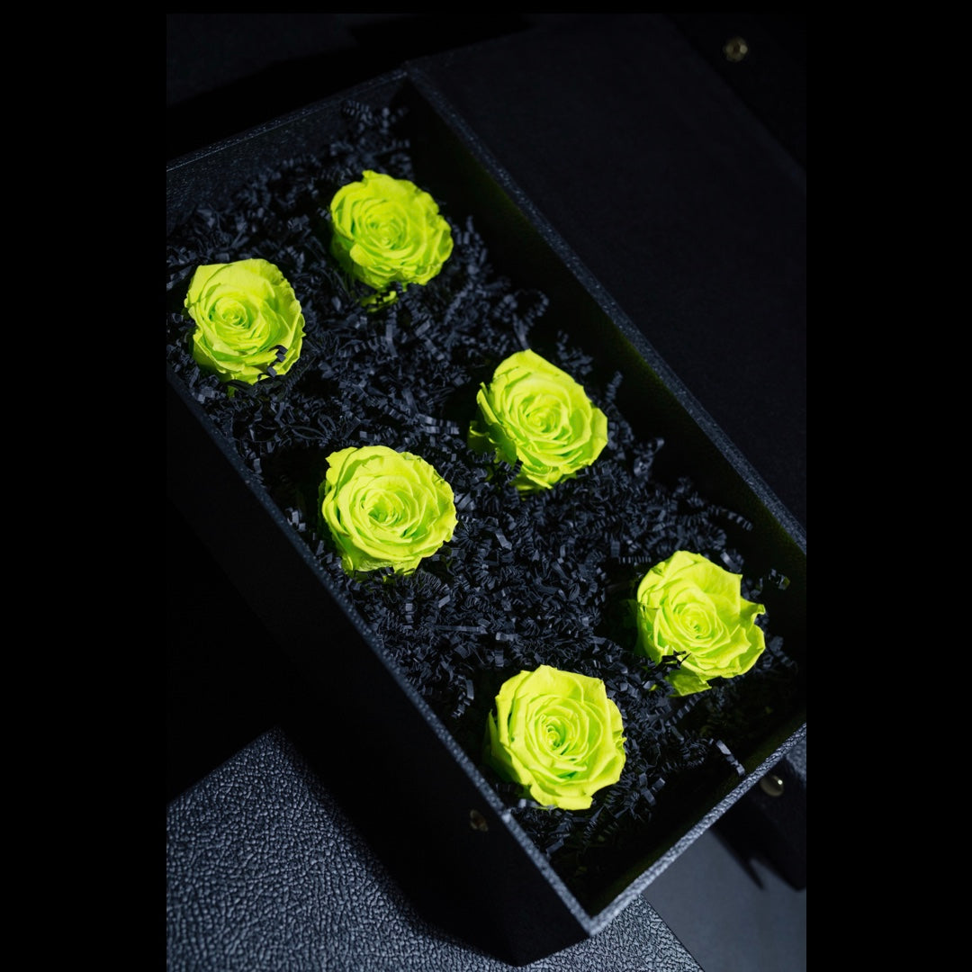 NEON GREEN FOREVER ROSES