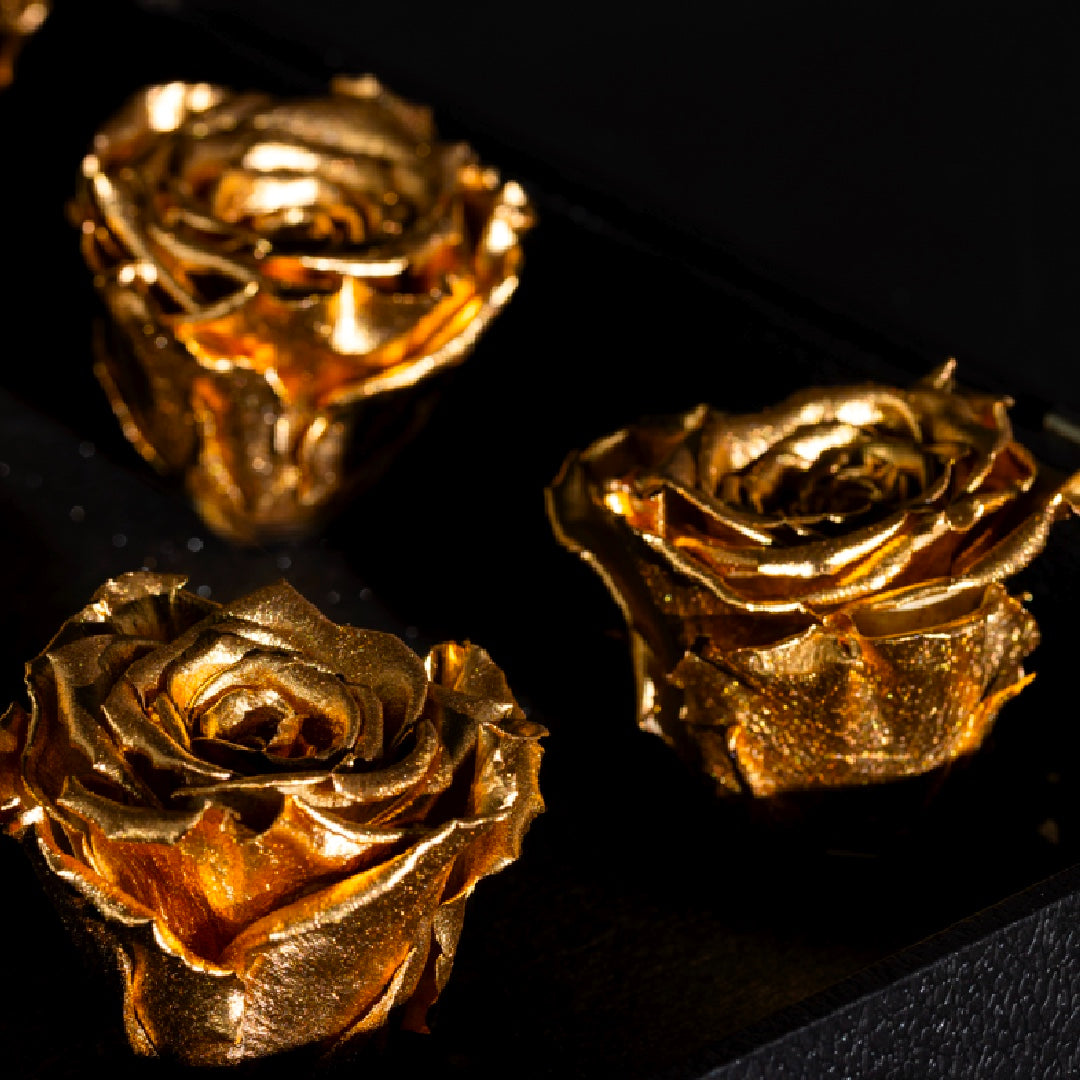 Glass Top Floral Box - PRESERVED ROSES