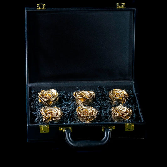 DRINK CHAMPS - 6 Rose Briefcase - PRESERVED ROSES